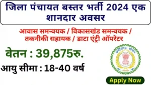 Jila Panchayat New Work Service 2024