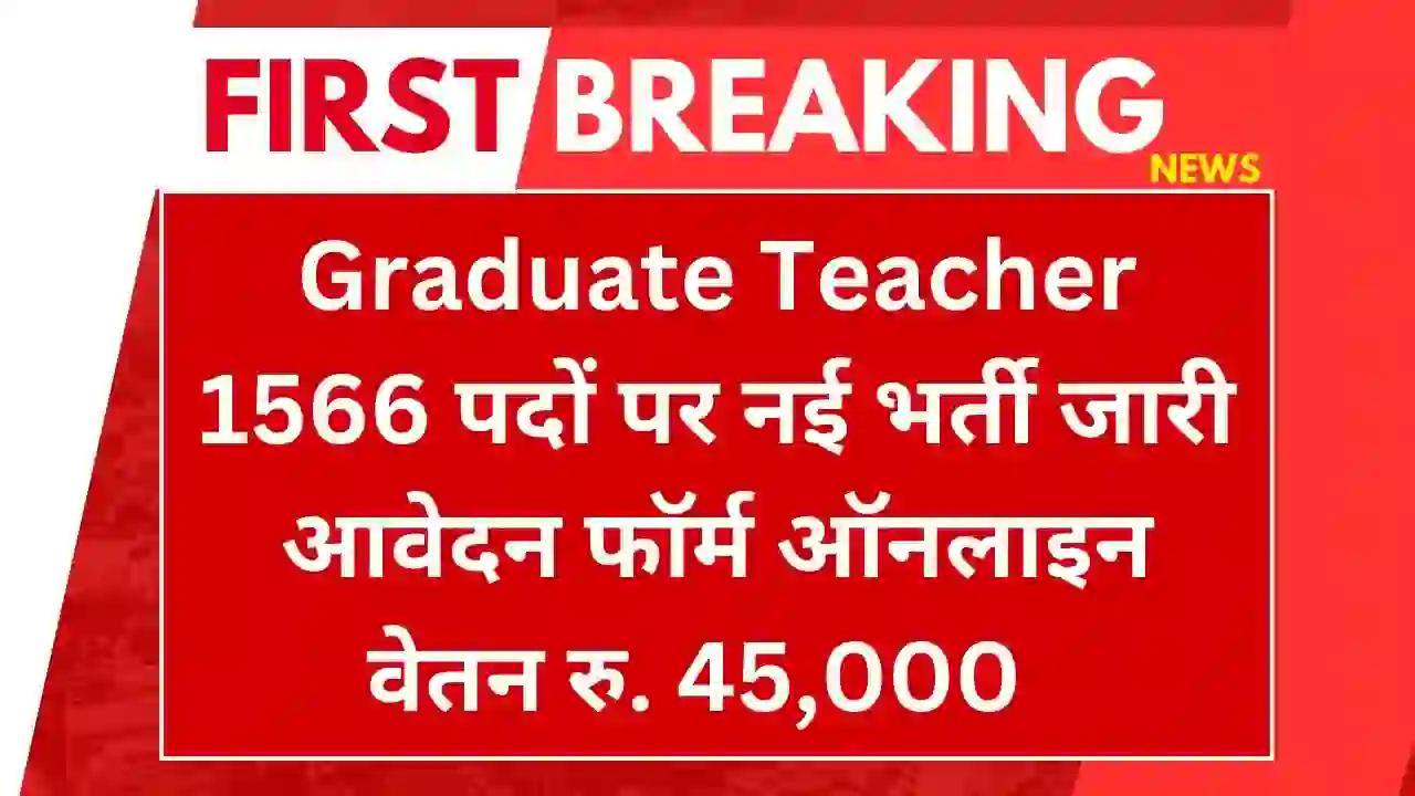 Graduate Teacher Bharti High Paying work Service